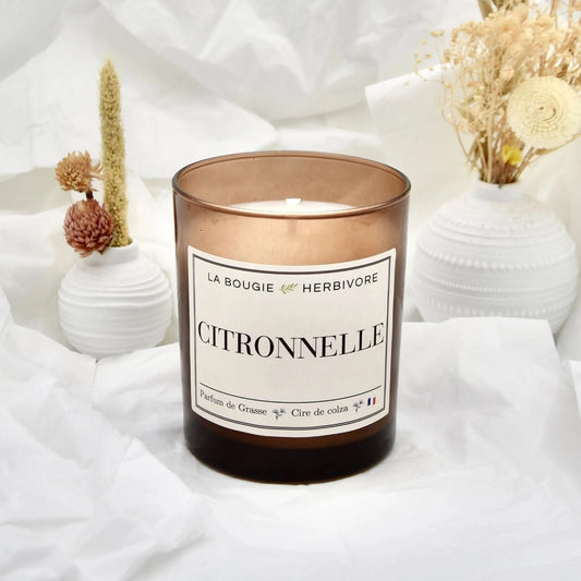 Bougie Parfumée "Citronnelle" Verre Ambré | Cire de Colza | Parfum de Grasse - 180g La Bougie Herbivore Bougies