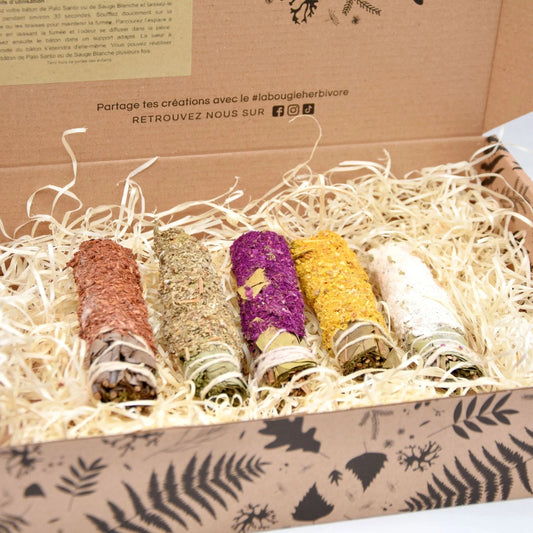 Coffret purification aromatique de La Bougie Herbivore avec cinq cônes d'encens naturels