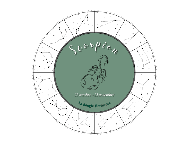 Le Scorpion, un signe astrologique complexe et sensible,,La Bougie Herbivore,FR,labougieherbivore.live