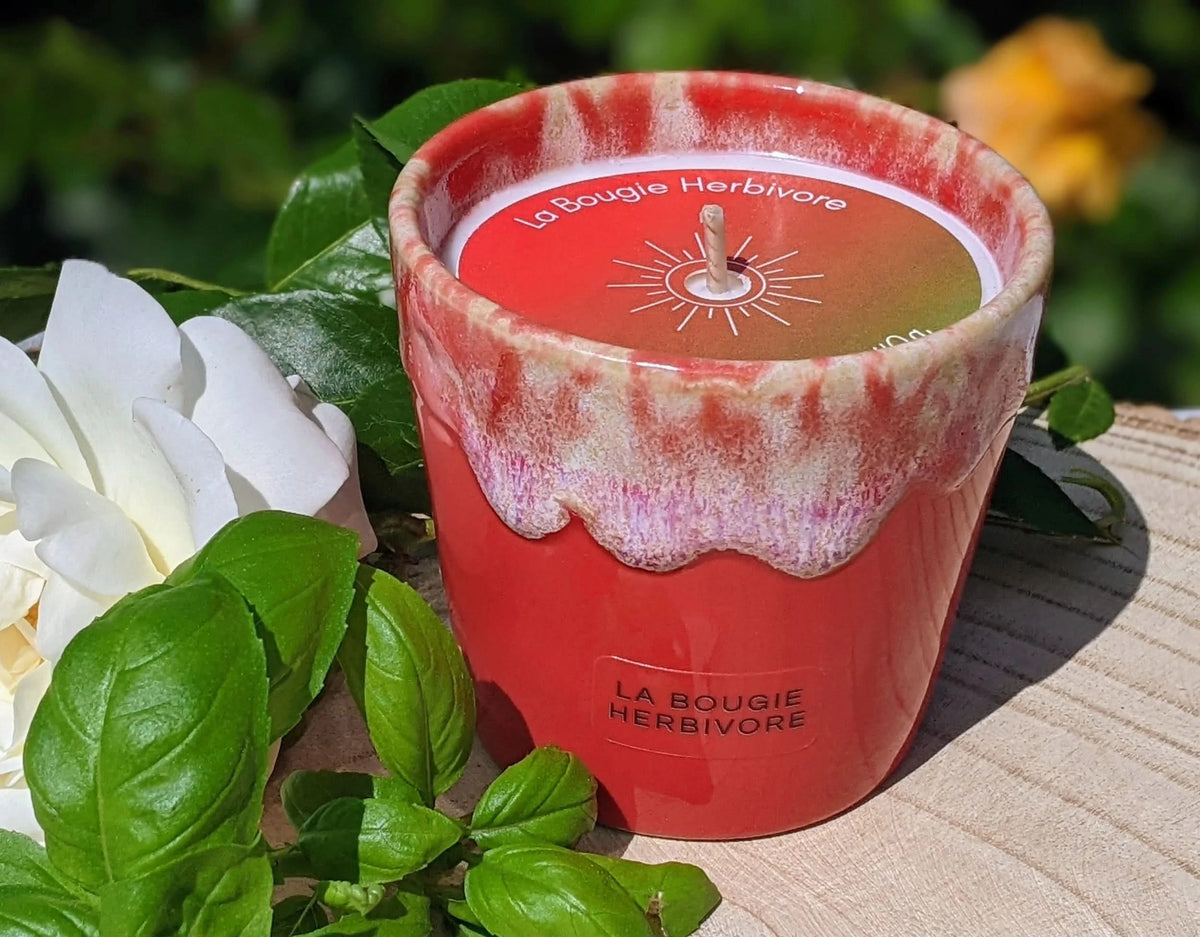Bougie Parfumée Tomate basilic - Pot en Grès Rouge - La Bougie Herbivore  BOUGIE_40H-PGTB 35.00 EUR