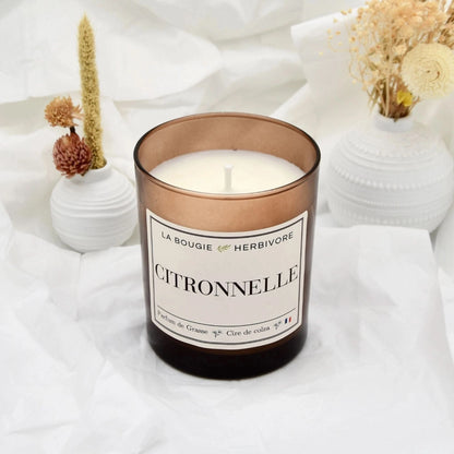 Bougie Parfumée "Citronnelle" Verre Ambré | Cire de Colza | Parfum de Grasse - 180g La Bougie Herbivore Bougies