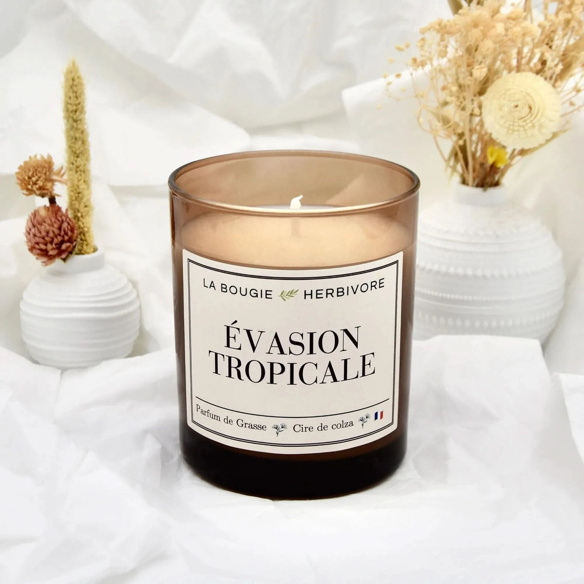 Bougie Parfumée Anti-Odeur – Évasion Tropicale (180g)