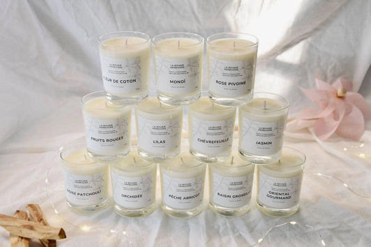 Pack d'implantation 12 bougies classiques 150g La Bougie Herbivore Bougies