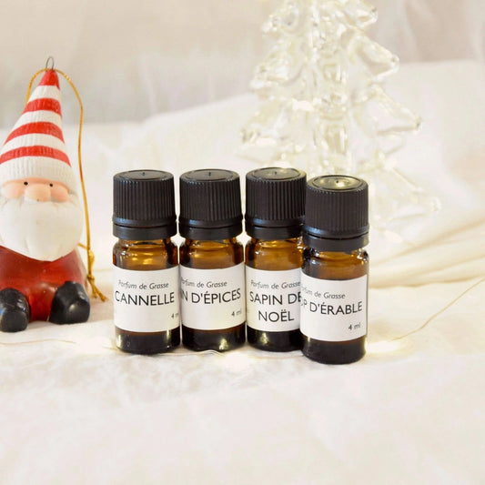 BOX DIY :🎄 Kit pour fabriquer ses bougies (Noël) La Bougie Herbivore Bougies