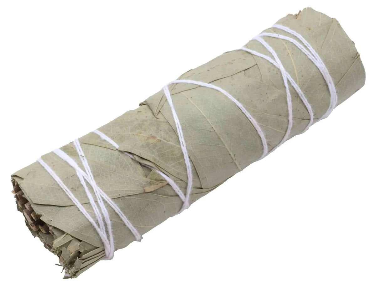 Eucalyptus Fagot 30g La Bougie Herbivore encens