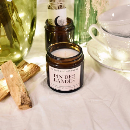 Bougie parfumée pin des Landes de La Bougie Herbivore dans un décor chaleureux avec des éléments naturels