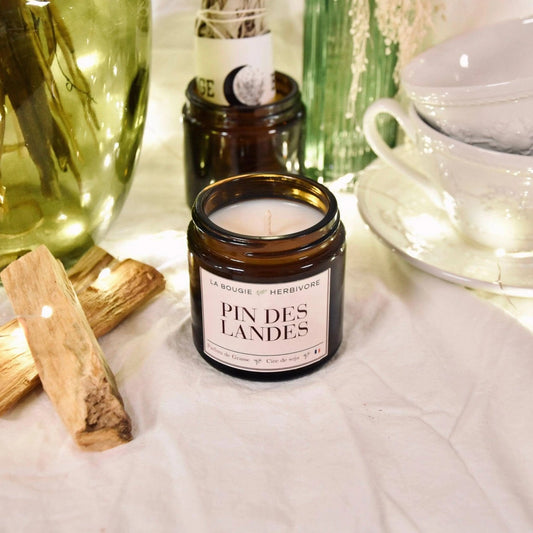 Bougie parfumée pin des Landes de La Bougie Herbivore dans un décor chaleureux avec des éléments naturels