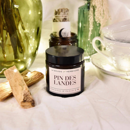 Bougie parfumée pin des Landes en pot noir, ajoutant une touche décorative et parfumée à votre intérieur